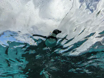 天王寺動物園に投稿された画像（2024/1/2）