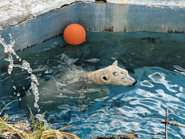 天王寺動物園に投稿された画像（2024/1/2）
