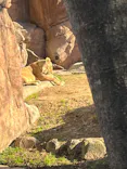 天王寺動物園に投稿された画像（2024/1/2）