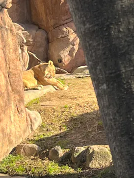 天王寺動物園に投稿された画像（2024/1/2）