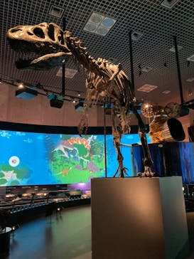 国立科学博物館に投稿された画像（2024/1/2）