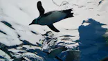 サンシャイン水族館に投稿された画像（2024/1/2）