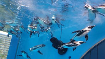 サンシャイン水族館に投稿された画像（2024/1/2）