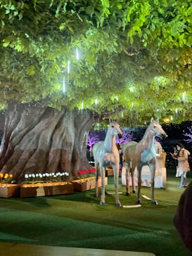 東京メガイルミに投稿された画像（2024/1/2）