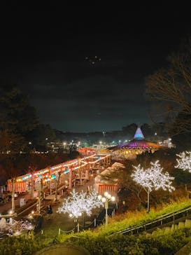 西武園ゆうえんちに投稿された画像（2024/1/2）