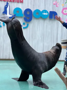 横浜・八景島シーパラダイスに投稿された画像（2024/1/2）
