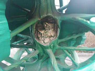 国立科学博物館に投稿された画像（2024/1/2）