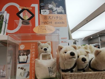 国立科学博物館に投稿された画像（2024/1/2）