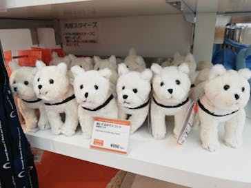 国立科学博物館に投稿された画像（2024/1/2）