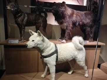 国立科学博物館に投稿された画像（2024/1/2）