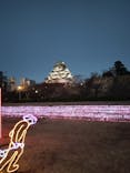 大阪城イルミナージュに投稿された画像（2024/1/2）