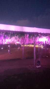 東京メガイルミに投稿された画像（2024/1/2）