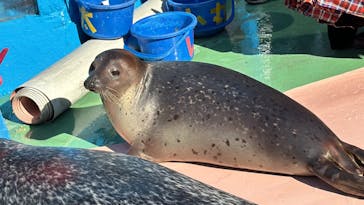ゼロ距離水族館 伊勢シーパラダイスに投稿された画像（2024/1/2）