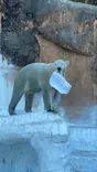 天王寺動物園に投稿された画像（2024/1/2）