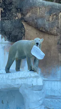 天王寺動物園に投稿された画像（2024/1/2）