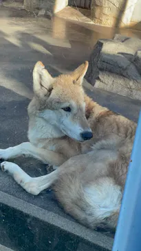 天王寺動物園に投稿された画像（2024/1/2）