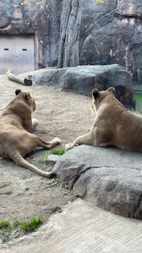 天王寺動物園に投稿された画像（2024/1/2）