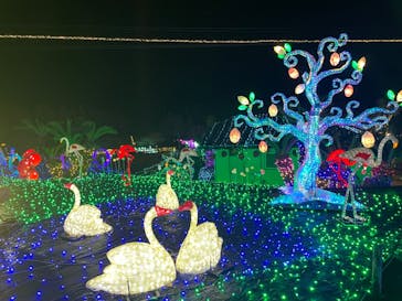 伊豆ぐらんぱる公園に投稿された画像（2024/1/2）