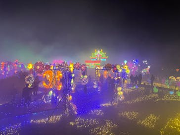 伊豆ぐらんぱる公園に投稿された画像（2024/1/2）