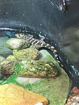 天王寺動物園に投稿された画像（2024/1/2）