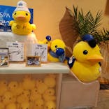 横浜天然温泉 SPA EASに投稿された画像（2024/1/2）