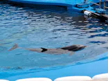 仙台うみの杜水族館に投稿された画像（2024/1/2）