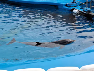 仙台うみの杜水族館に投稿された画像（2024/1/2）