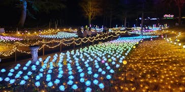 修善寺虹の郷に投稿された画像（2024/1/2）