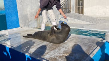 南知多ビーチランド＆南知多おもちゃ王国に投稿された画像（2024/1/2）