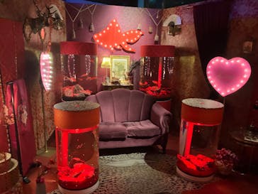 NARA KINGYO MUSEUMに投稿された画像（2024/1/2）