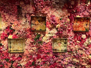 NARA KINGYO MUSEUMに投稿された画像（2024/1/2）