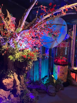 NARA KINGYO MUSEUMに投稿された画像（2024/1/2）