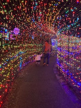 伊豆ぐらんぱる公園に投稿された画像（2024/1/2）