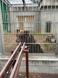 東武動物公園に投稿された画像（2024/1/2）