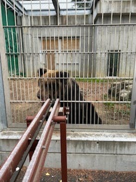 東武動物公園に投稿された画像（2024/1/2）