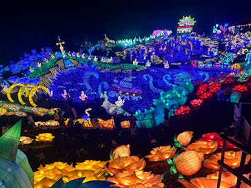 伊豆ぐらんぱる公園に投稿された画像（2024/1/2）