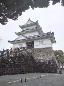 小田原城に投稿された画像（2024/1/2）