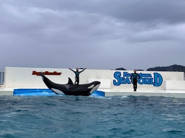 鴨川シーワールドに投稿された画像（2024/1/2）