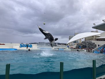 鴨川シーワールドに投稿された画像（2024/1/2）