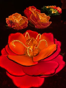 体験王国 むら咲むらに投稿された画像（2024/1/2）