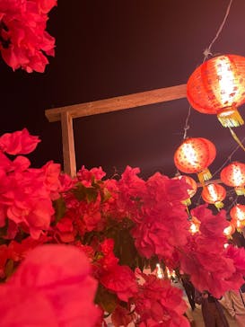 体験王国 むら咲むらに投稿された画像（2024/1/2）