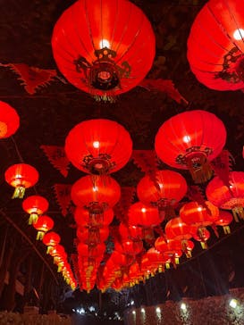 体験王国 むら咲むらに投稿された画像（2024/1/2）