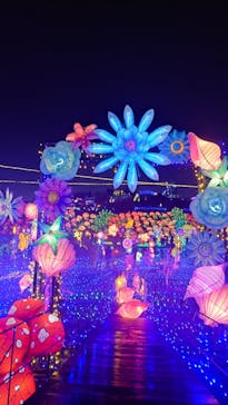 伊豆ぐらんぱる公園に投稿された画像（2024/1/2）