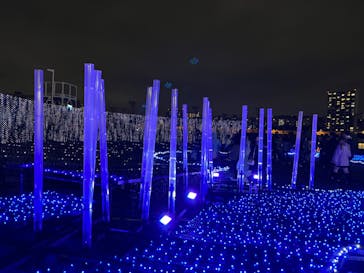 東京メガイルミに投稿された画像（2024/1/2）