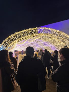 東京メガイルミに投稿された画像（2024/1/2）