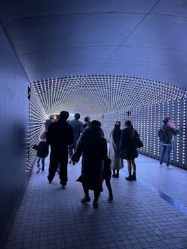 東京メガイルミに投稿された画像（2024/1/2）