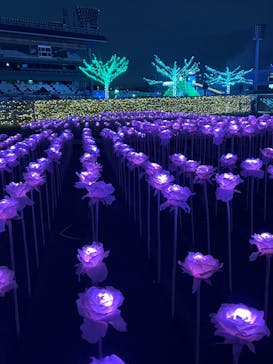 東京メガイルミに投稿された画像（2024/1/2）