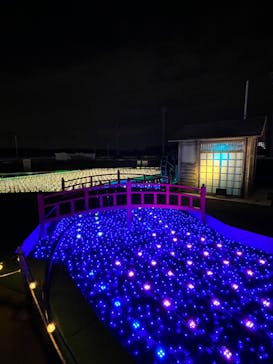 東京メガイルミに投稿された画像（2024/1/2）