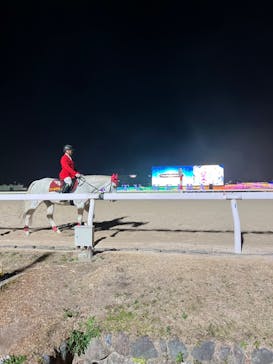 東京メガイルミに投稿された画像（2024/1/2）