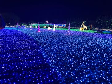 東武動物公園に投稿された画像（2024/1/2）